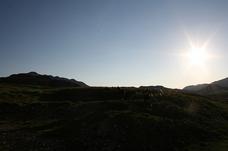Albania 2008 069